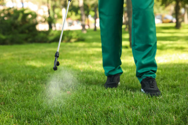 Best Ant Control Services  in Lake Barcroft, VA