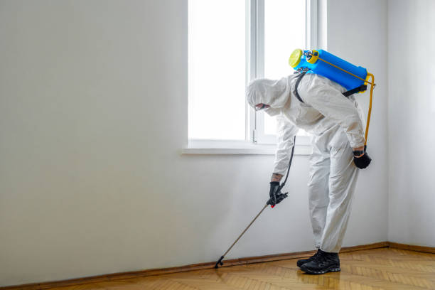 Best Affordable Exterminators  in Lake Barcroft, VA