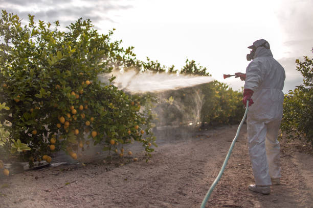Best Emergency Pest Control  in Lake Barcroft, VA