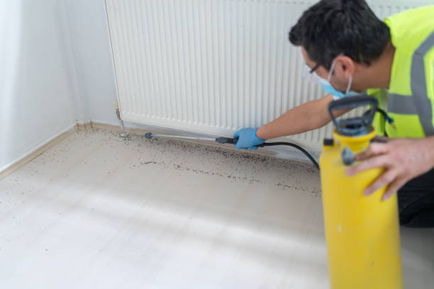 Pest Prevention Services in Lake Barcroft, VA
