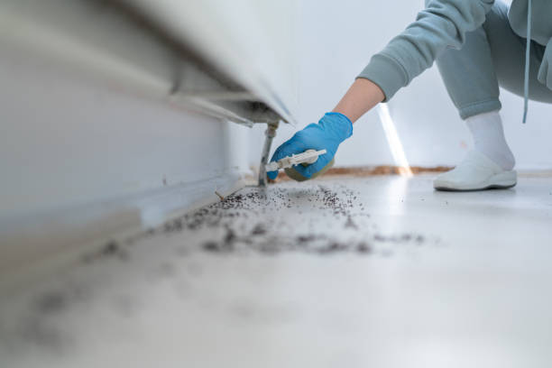 Best Pest Inspection Near Me  in Lake Barcroft, VA